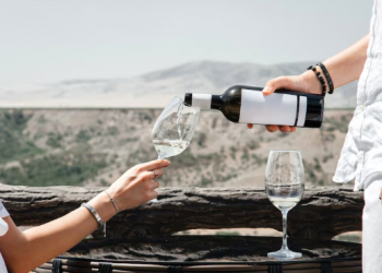 South Africa Wine Tours 2025: Stellenbosch & Franschhoek Vineyards